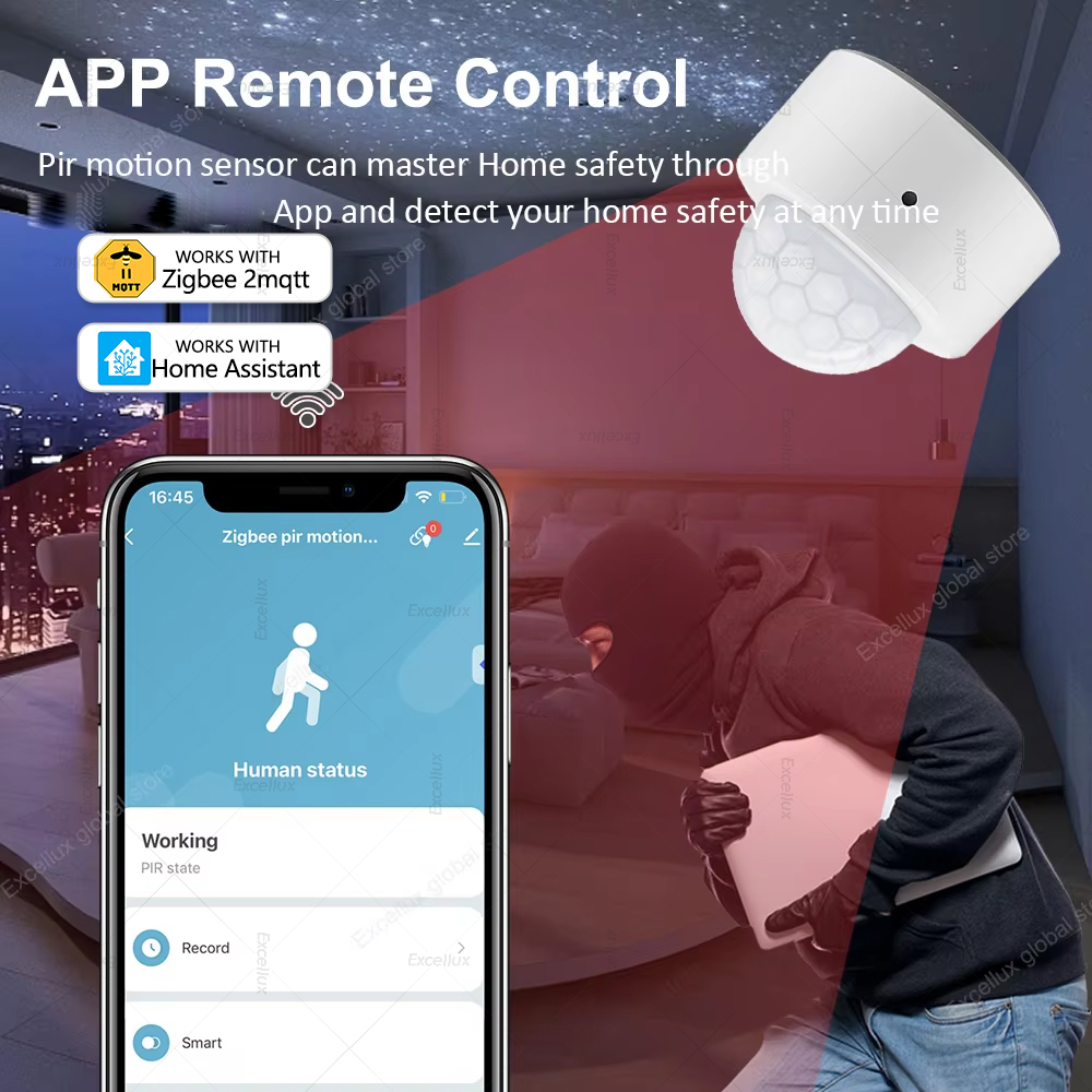 ZigBee PIR Motion Sensor Mini  - Home Security Home Assistant review and price