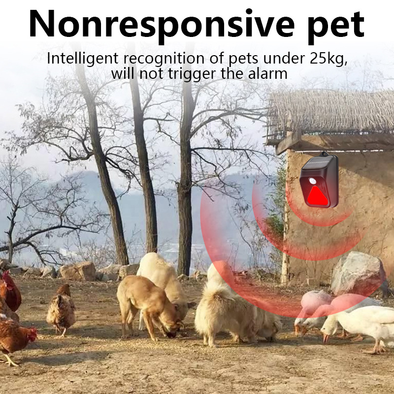 Waterproof Solar Powered Alarm - Home Security Yard Sensors review and price