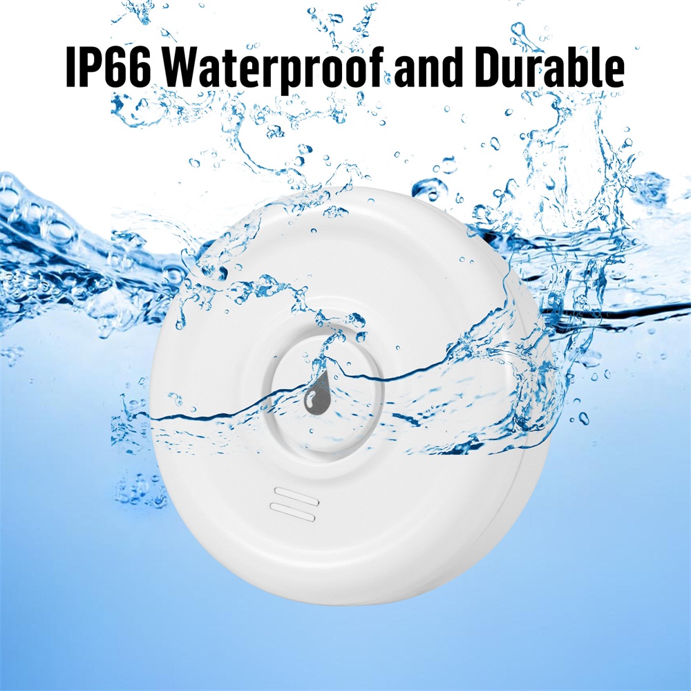 Fuers Water Leakage Detector S - Home Security Home Assistant review and price